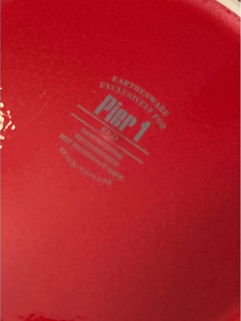 Pier 1 Exclusive Red Earthenware Plate